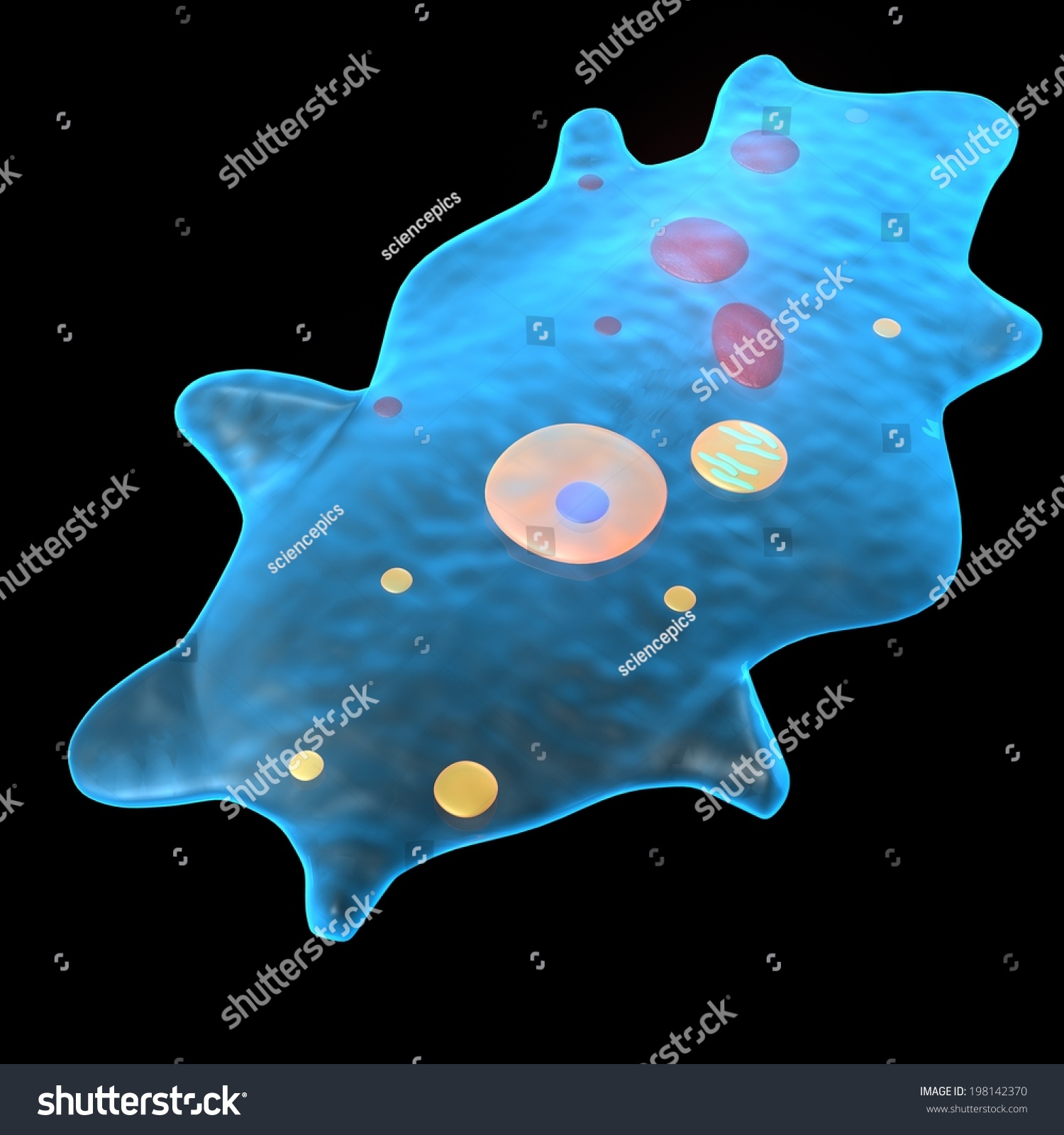 γ-,ѧ-崴(hellorf)-shutterstock-.