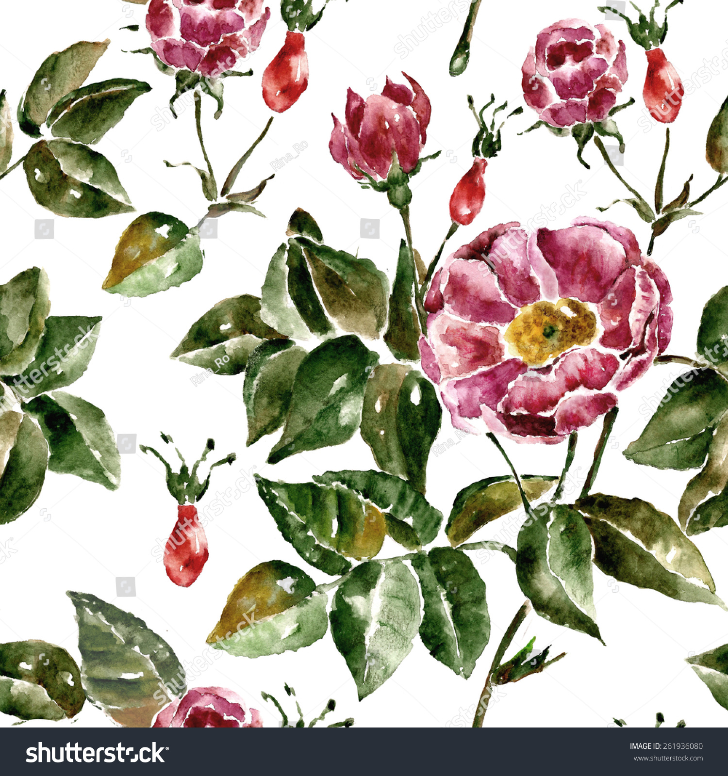 watercolor illustration with briar, dog-rose  版权:rina_ro 图片