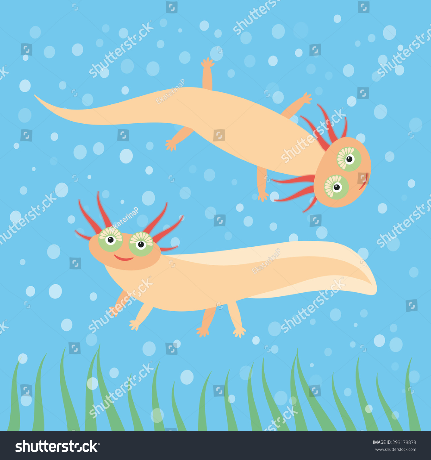 可爱的橙色蝾螈卡通人物在蓝色背景水族馆(墨西哥蝾螈,墨西哥钝口螈)白化水族馆的动物。向量-动物/野生生物,自然-站酷海洛创意正版图片,视频,音乐素材交易平台-Shutterstock中国独家合作伙伴 - 站酷旗下品牌