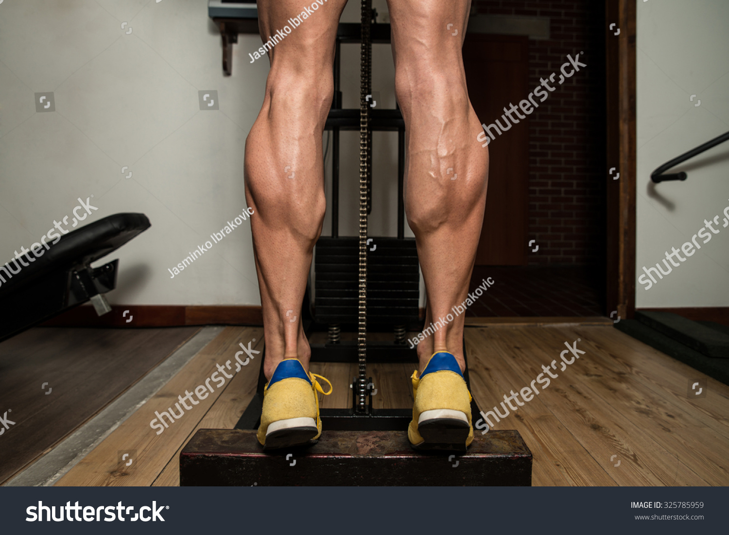健美运动员做重量锻炼腿小腿-人物,运动/娱乐活动-(rf