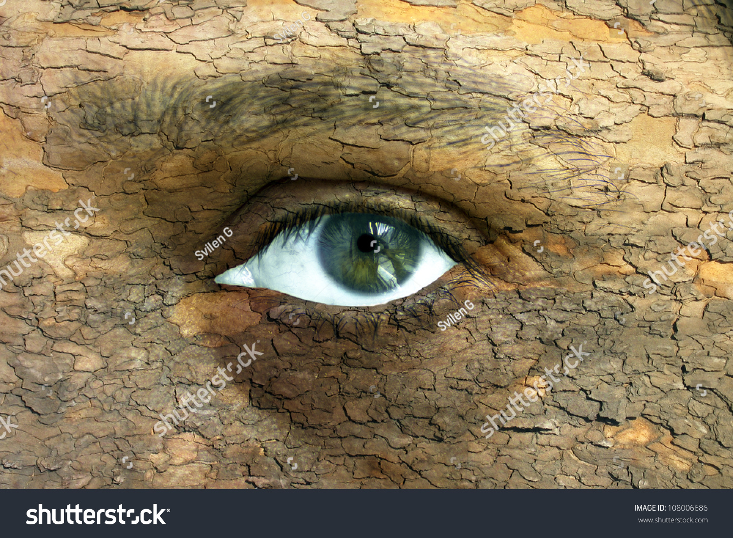 环境概念——人类面对一个开放的眼睛一个树皮纹理覆盖-自然,抽象