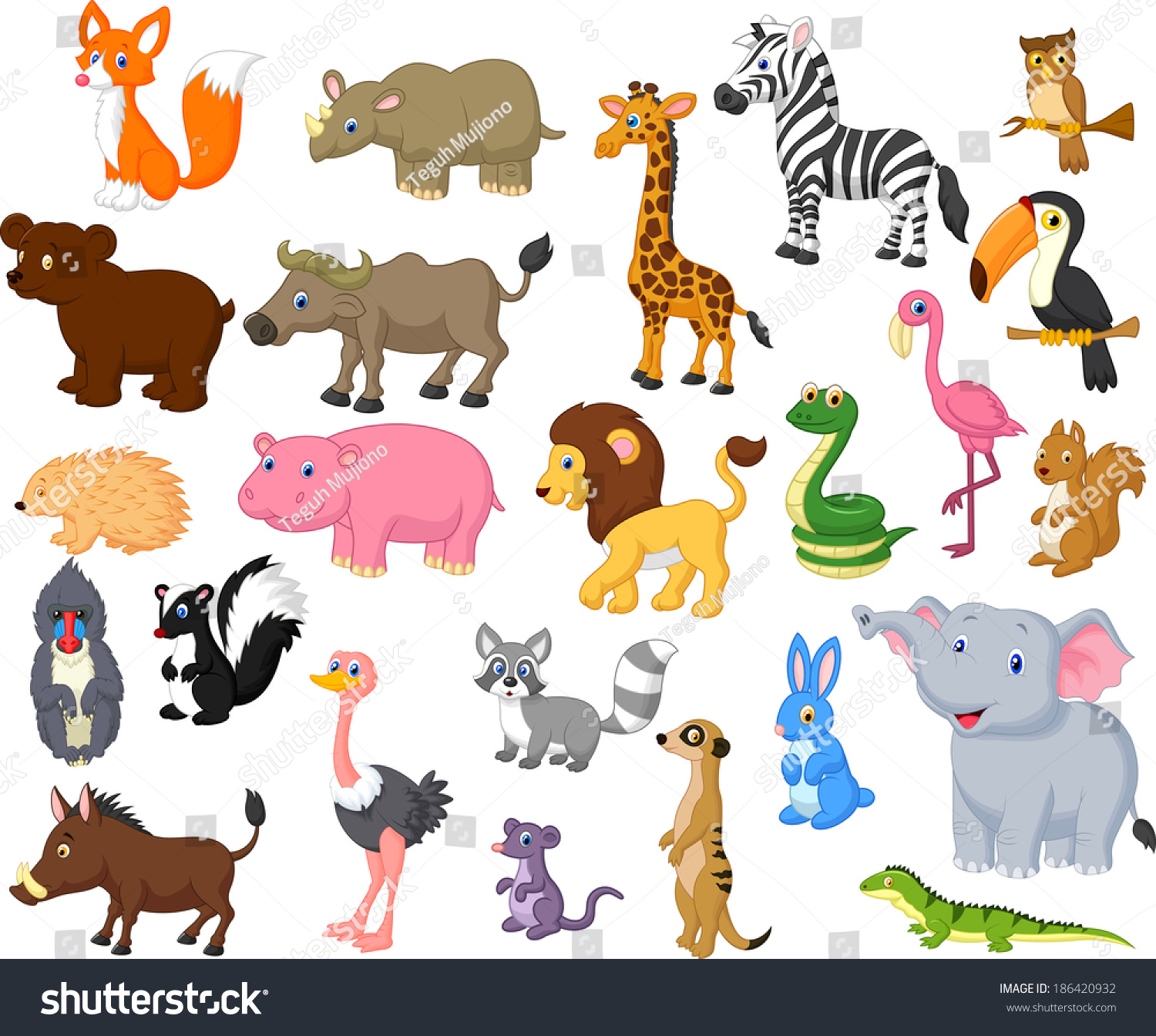 wild animal cartoon collection
