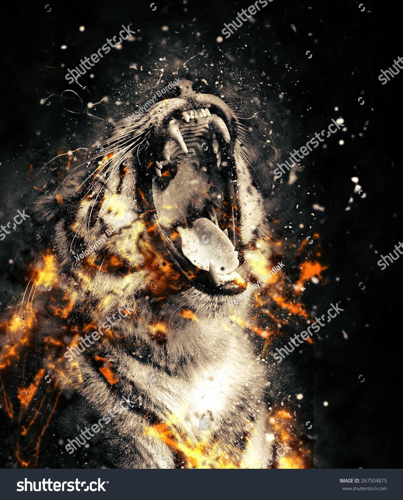 愤怒的老虎特写肖像在火